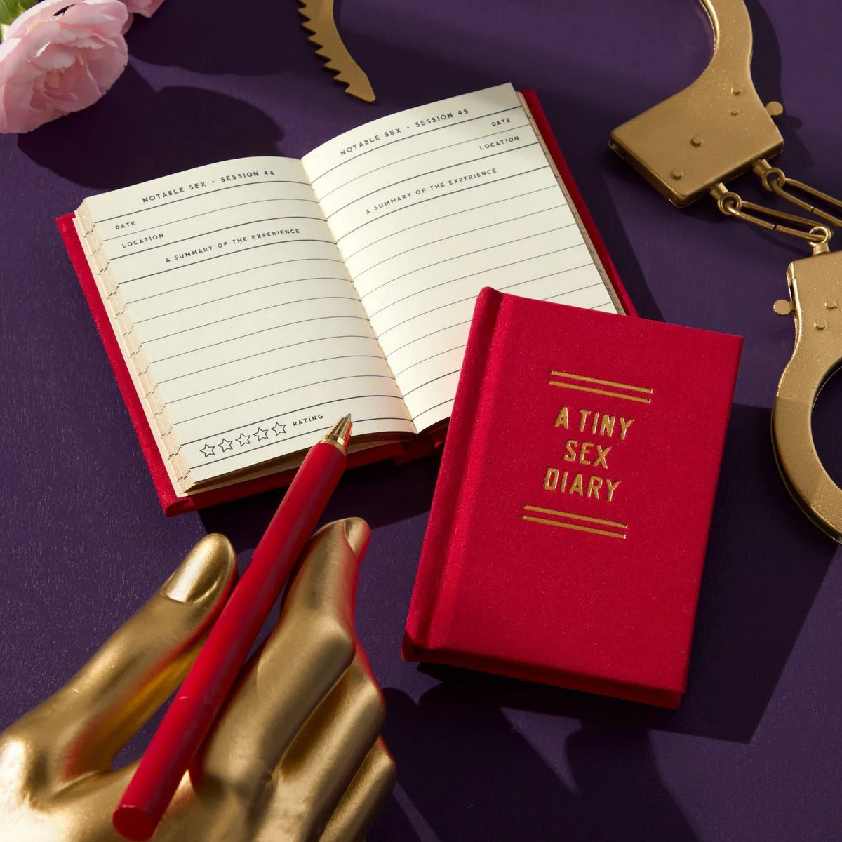 A Tiny Sex Diary - Image 3