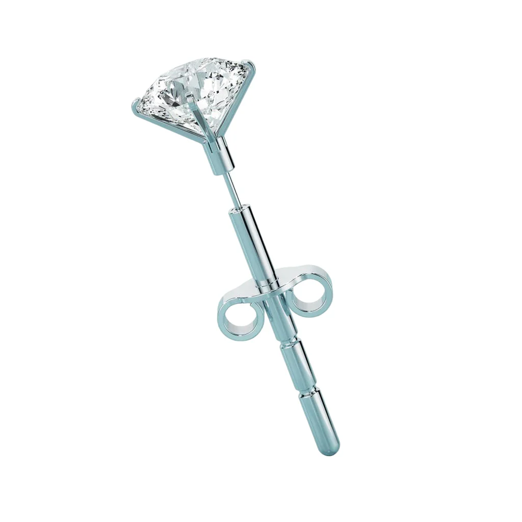 Big Stud Earring