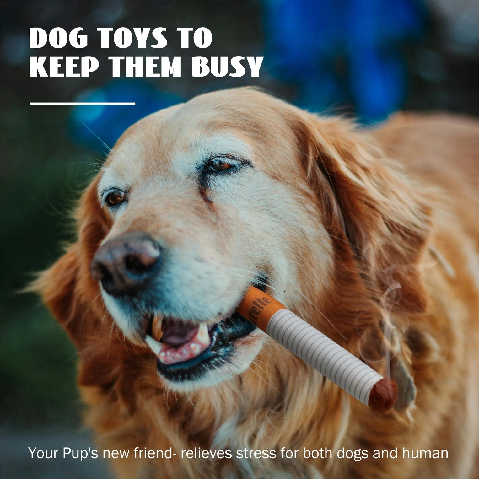 Cigarette Dog Toy - Image 3