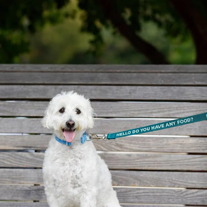 Do You Have Any Food Dog Leash - Image 2