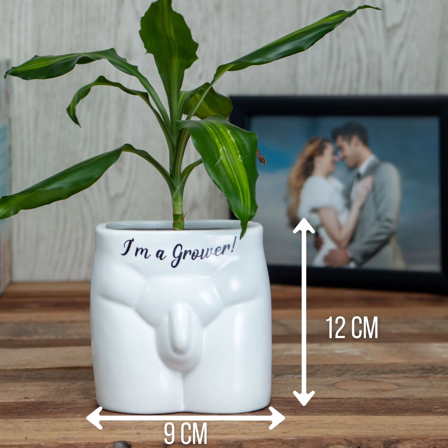 Grower Planter - Image 2