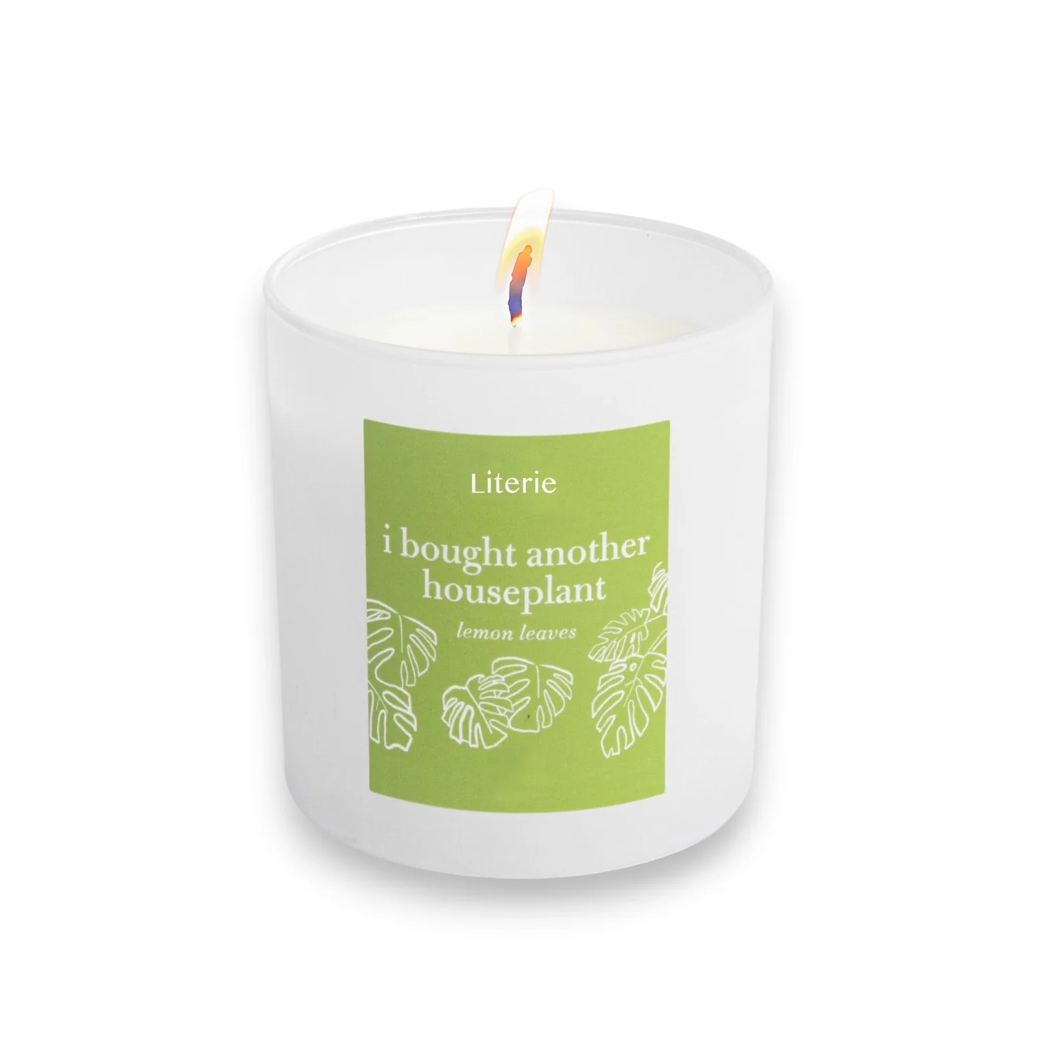 I Bought Another Houseplant Candle - Image 2