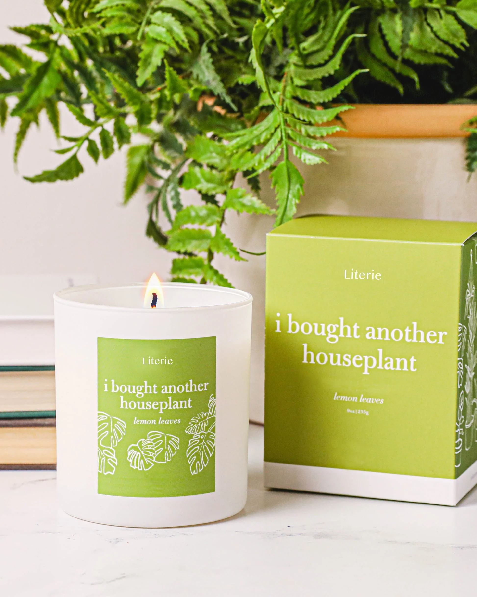 I Bought Another Houseplant Candle - Image 3