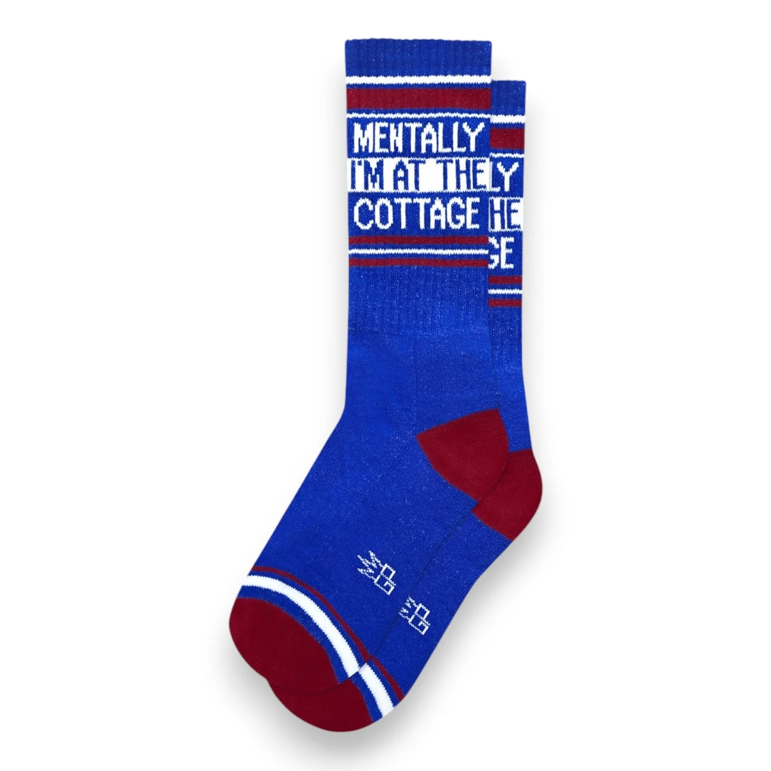 Mentally I'm At The Cottage Socks