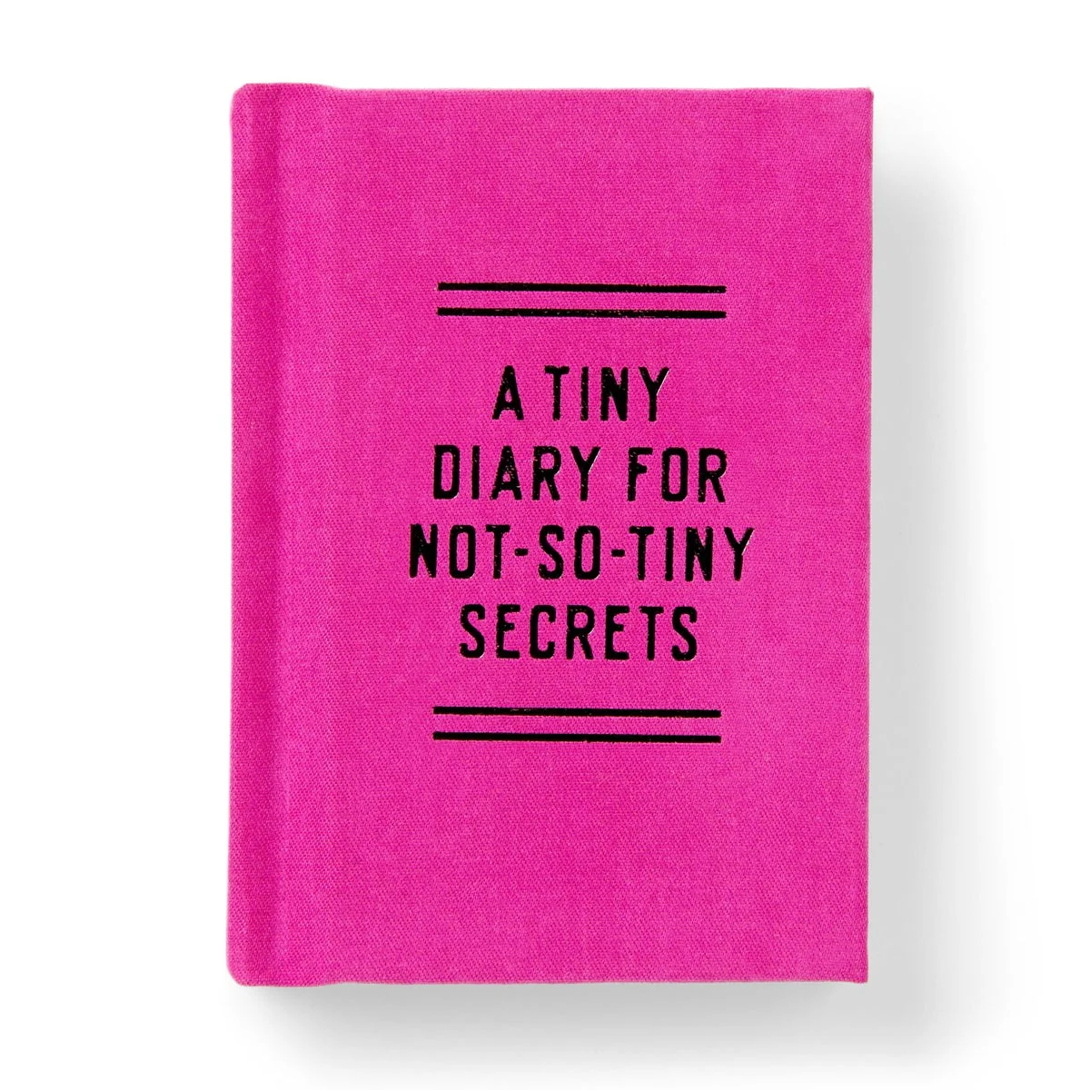 Not So Tiny Secrets Mini Journal