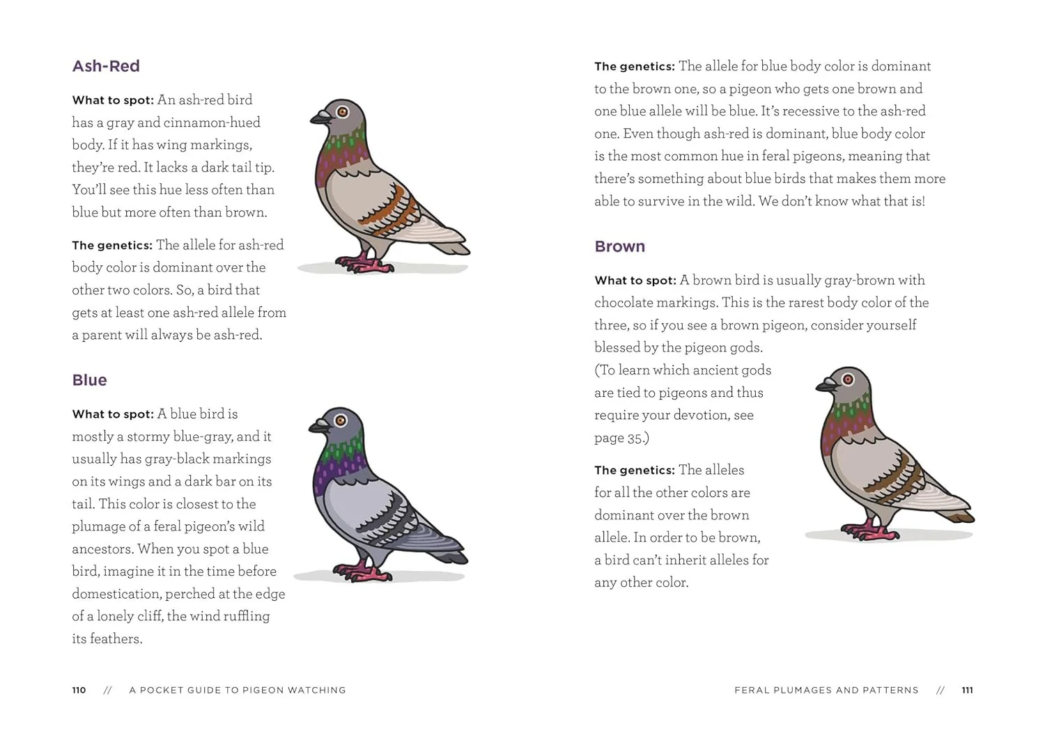 Pigeon Watching Book - Image 2