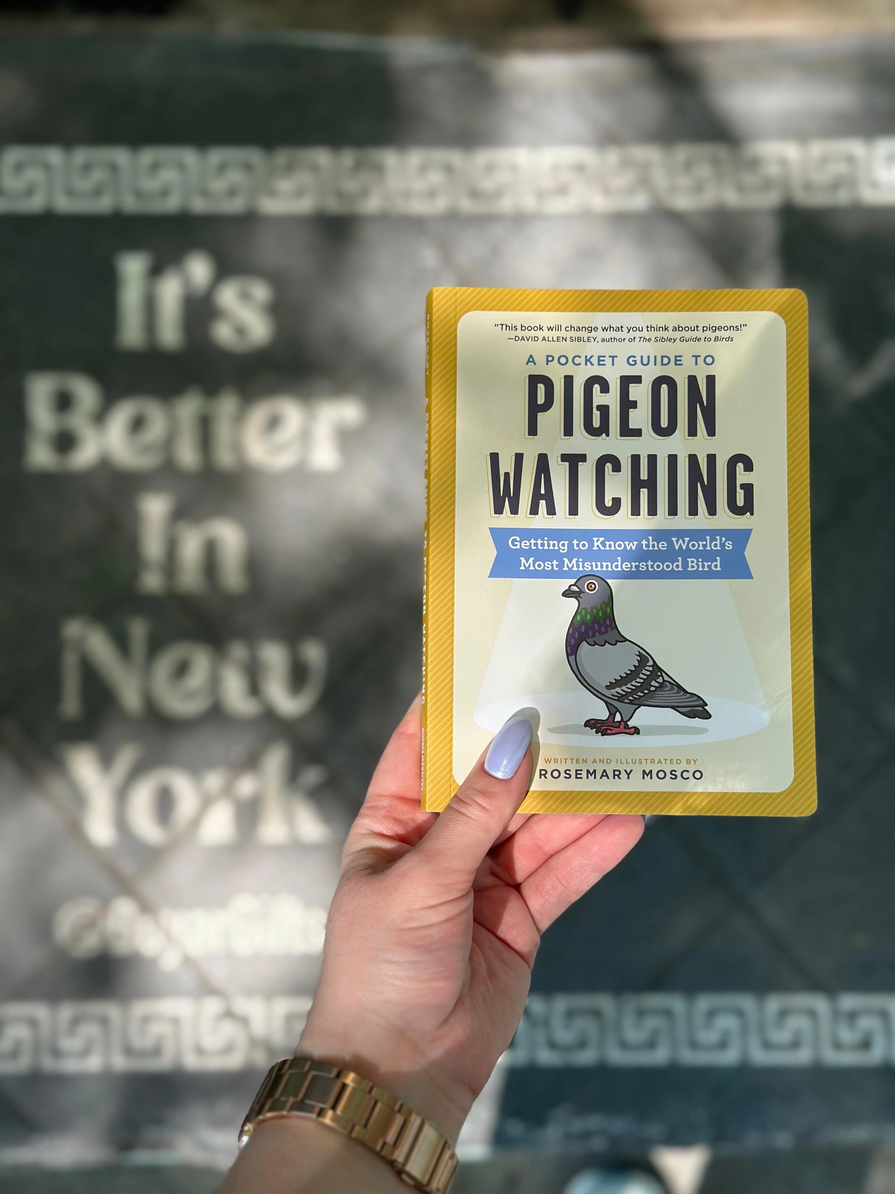 Pigeon Watching Book - Image 3