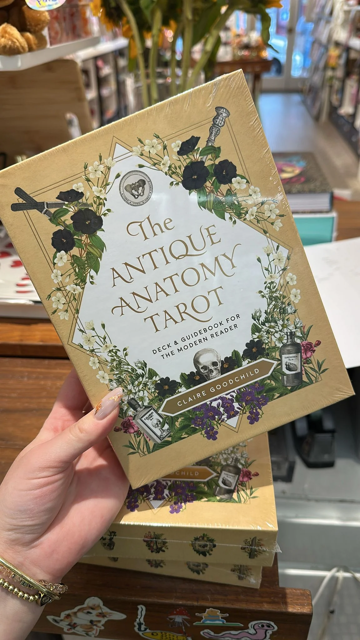 The Antique Anatomy Tarot - Image 2