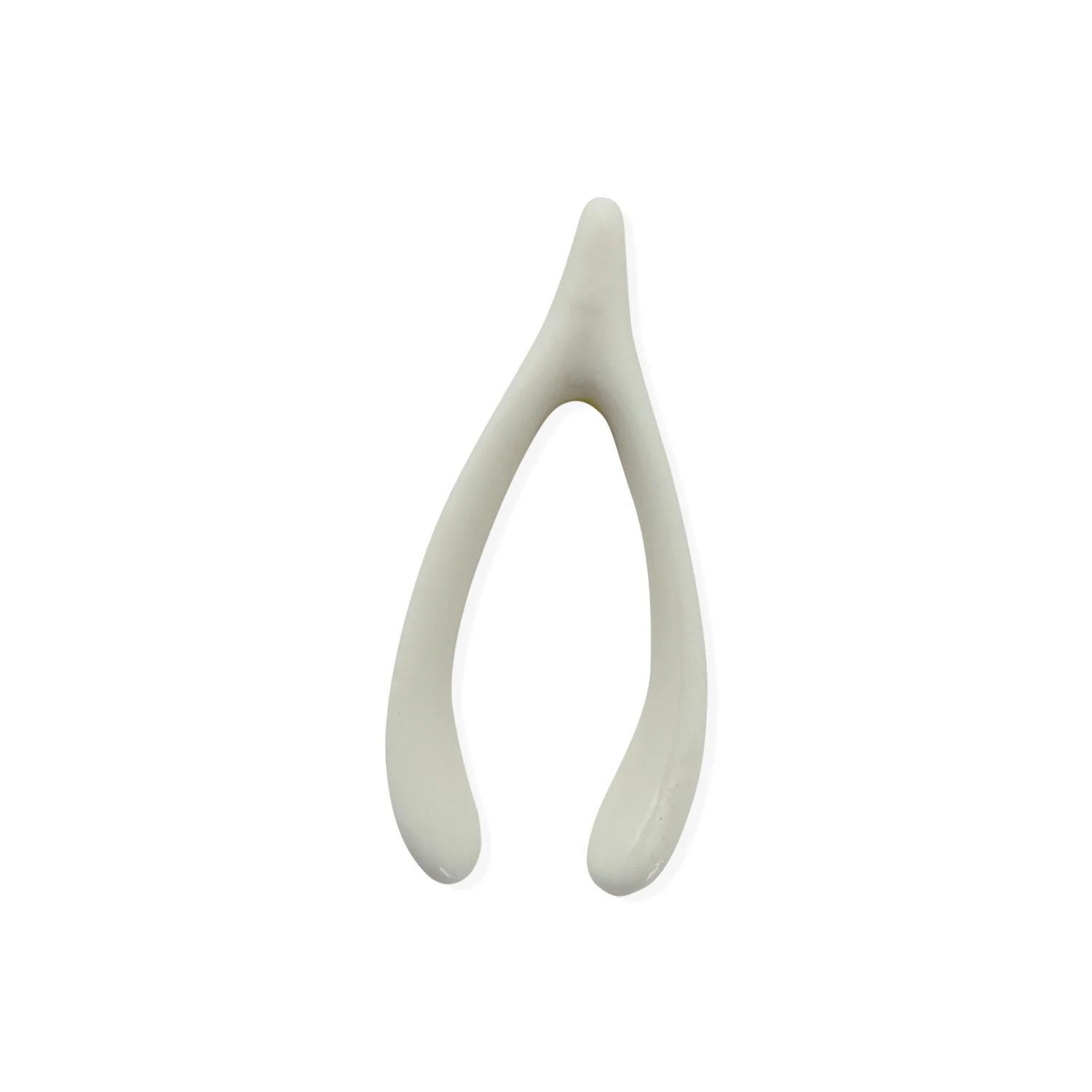 Tiny Wish Bone - Image 2