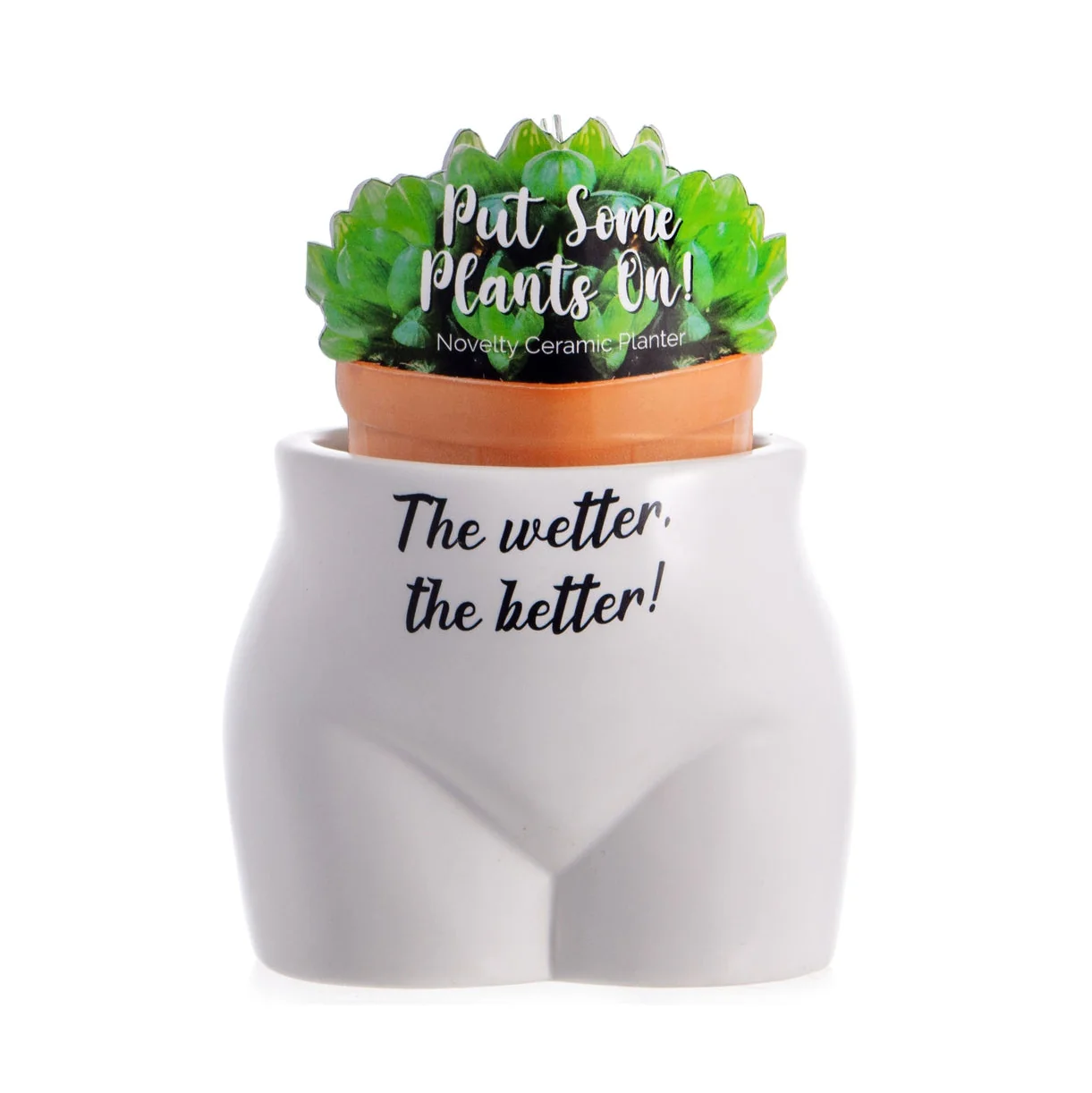 Wetter The Better Planter