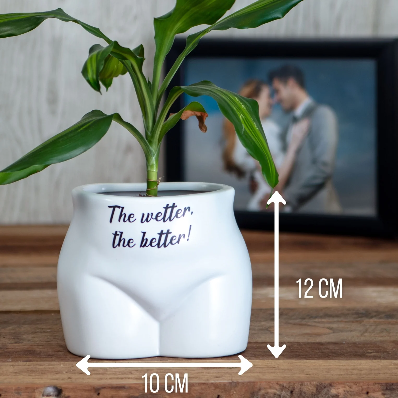 Wetter The Better Planter - Image 2